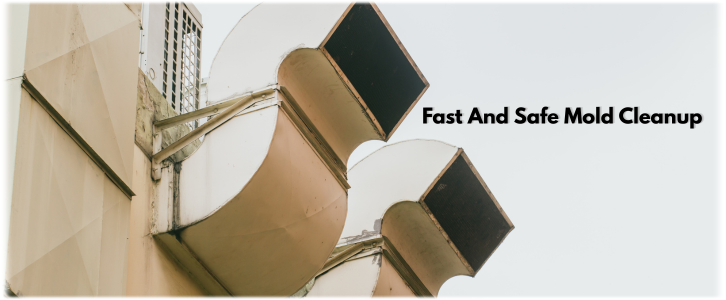 Air Duct Mold Removal in Edison NJ